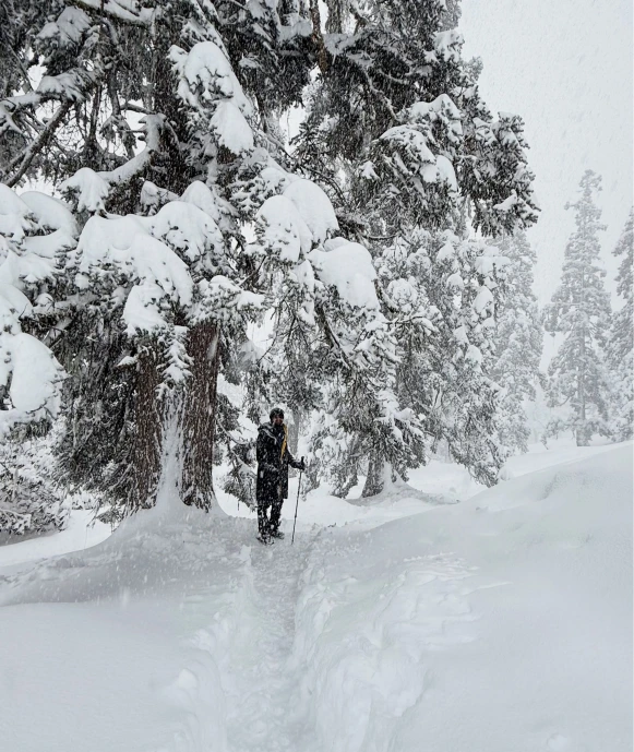 Winter Snow Wonderland