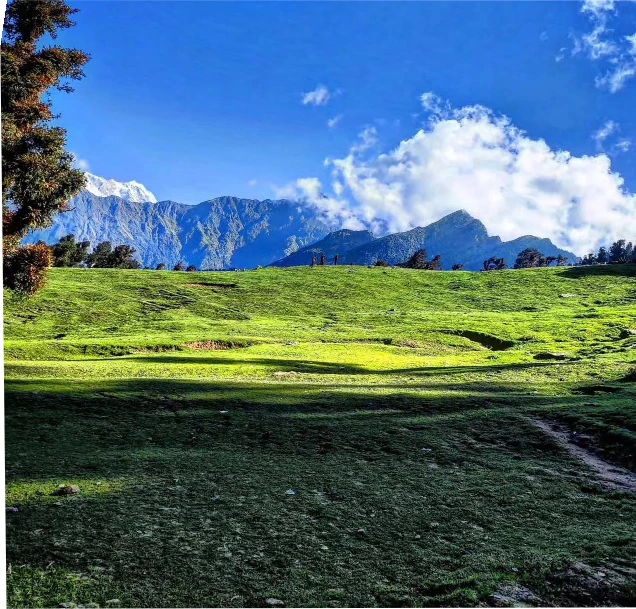 Highest Rolling Meadows