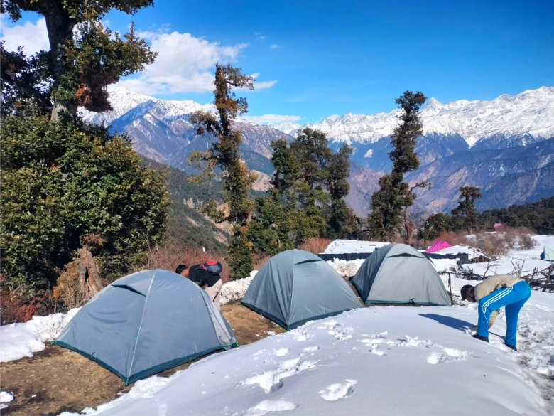 Gui Campsite & Ancient Oak Forests