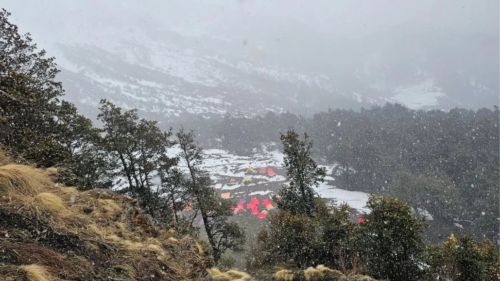 Majestic Snow