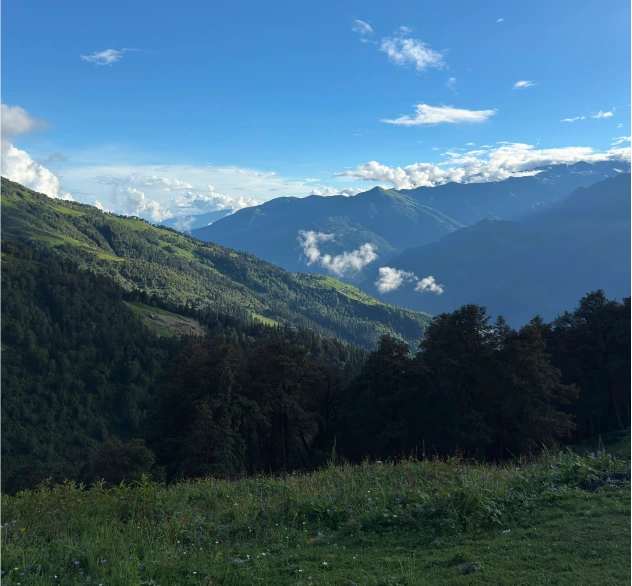 Alpine Meadows