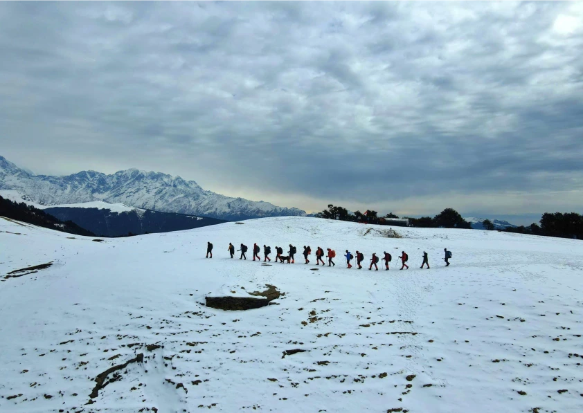 Winter Wonderland (Snow)