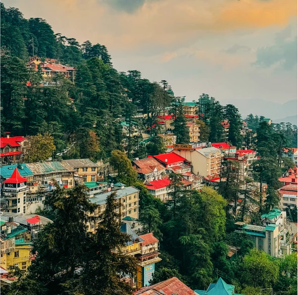 Shimla
