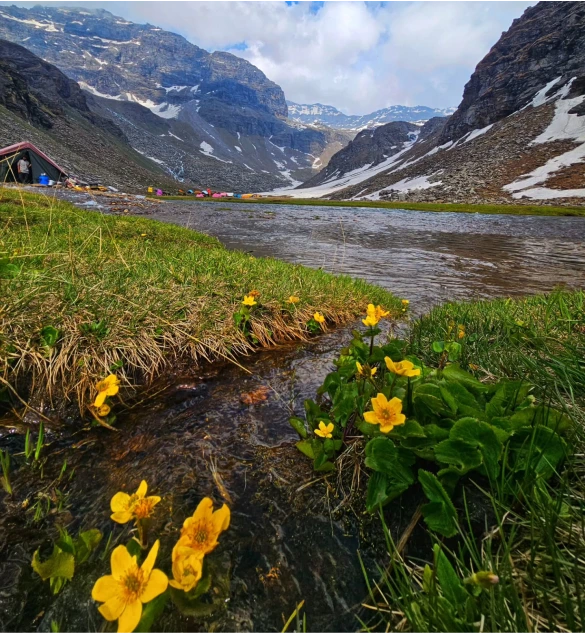 Alpine Valley