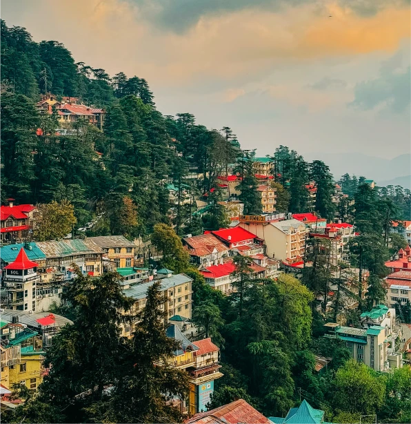 Shimla