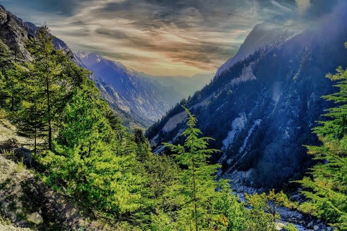 Gangotri National Park
