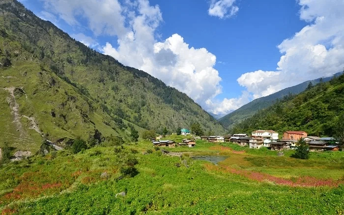 Dense Forests of Govind National Park
