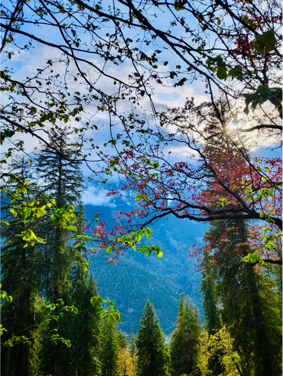 Rich flora and fauna