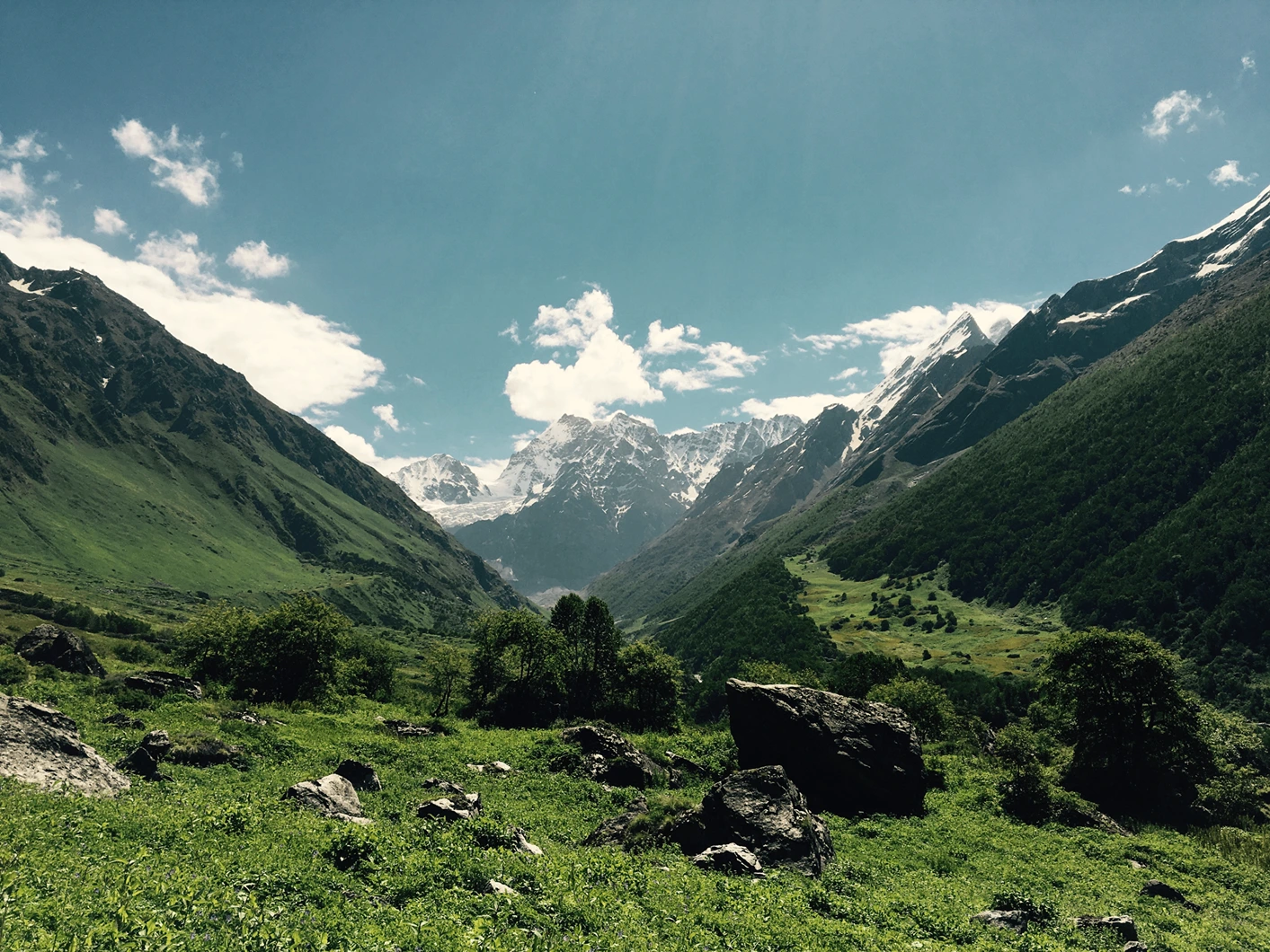 Alpine Meadows