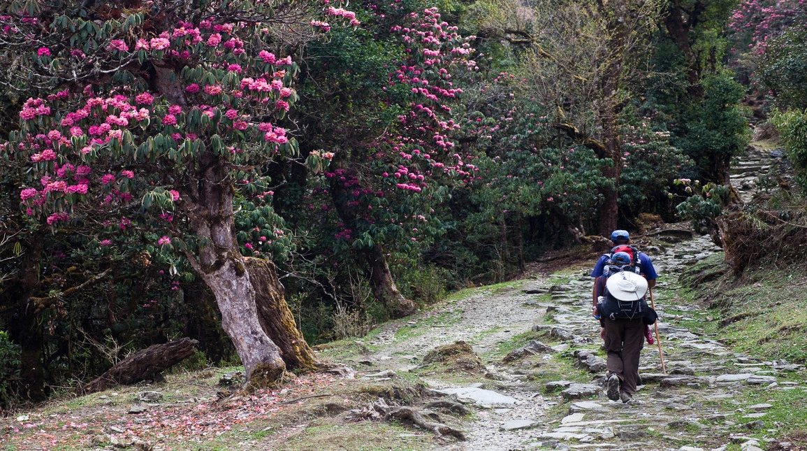 Chopta – Mini Switzerland of India