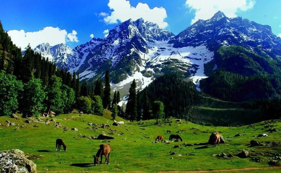snow-capped peaks