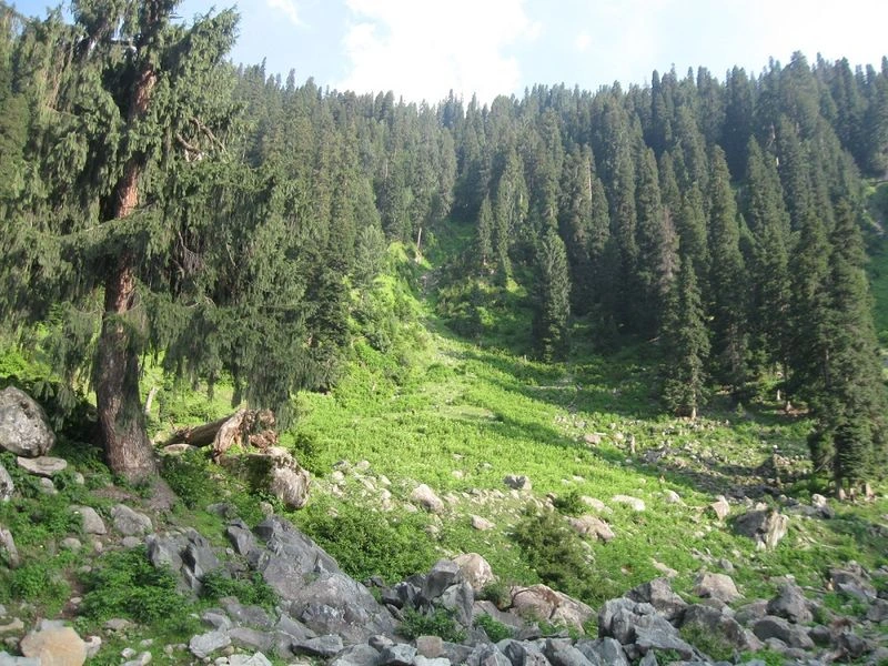 Wildlife and Biodiversity