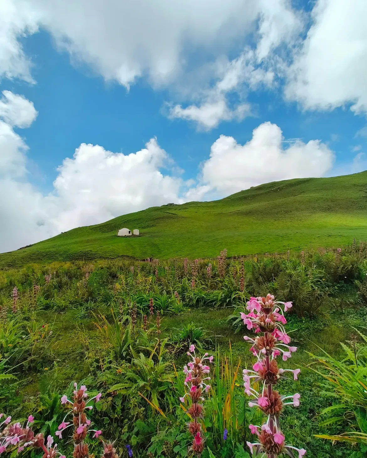 Dayara Bugyal Trek