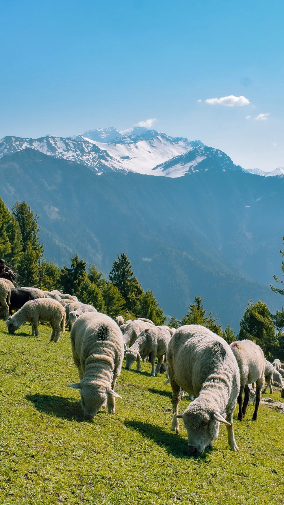 Dayara Bugyal Trek