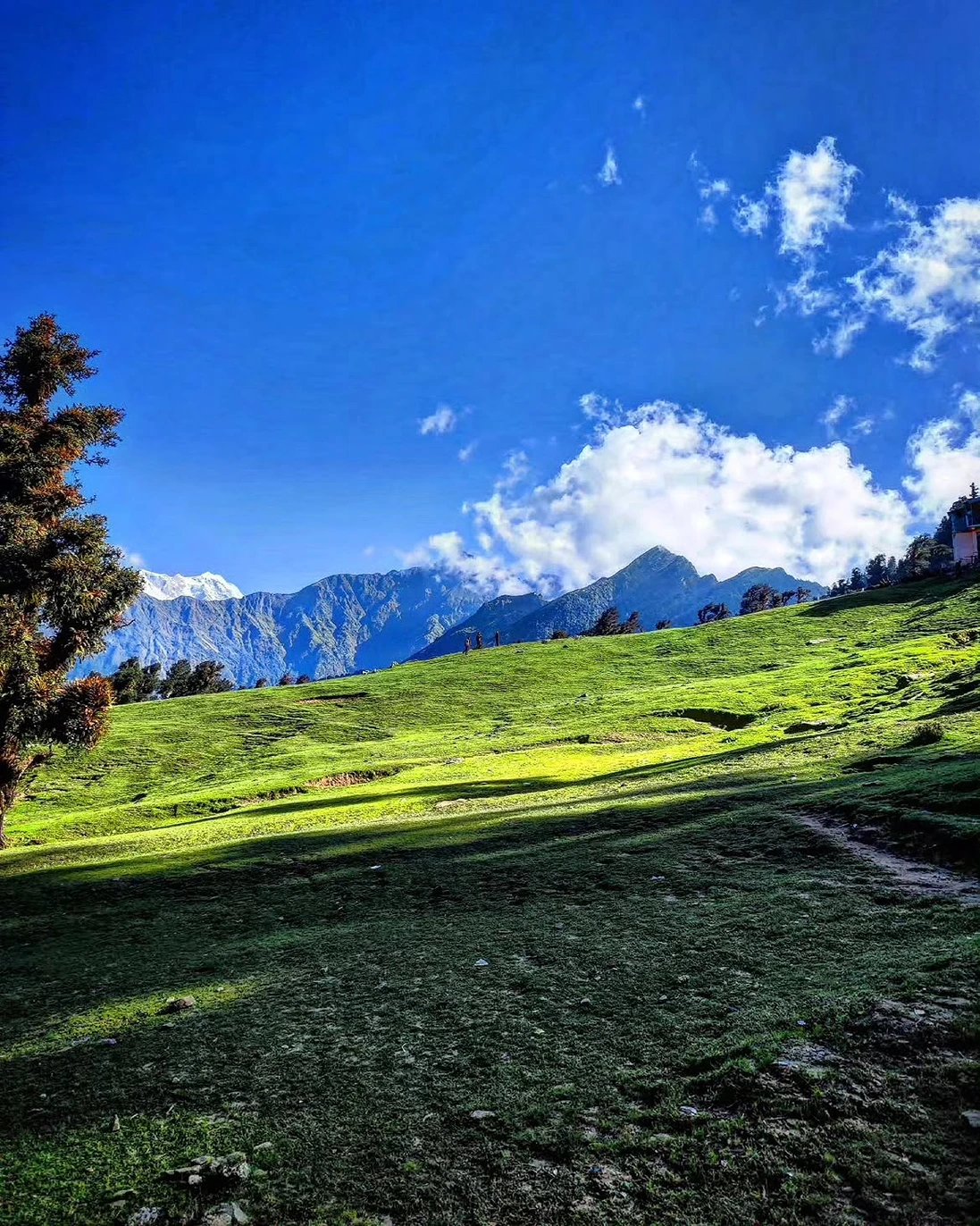 Dayara Bugyal Trek