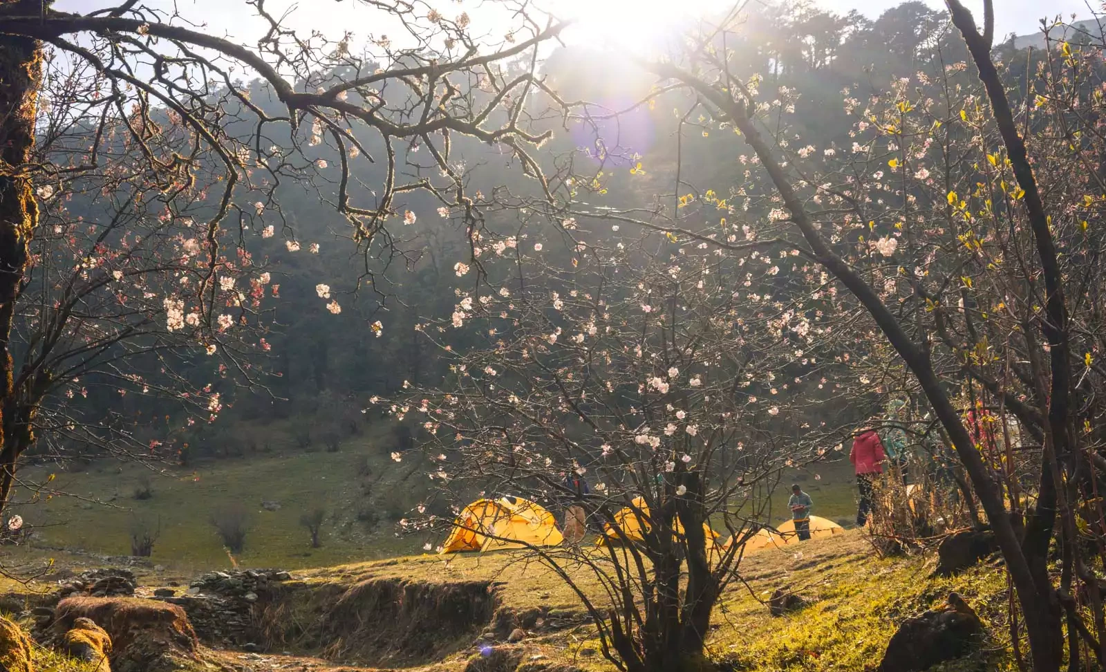 Dayara Bugyal Trek