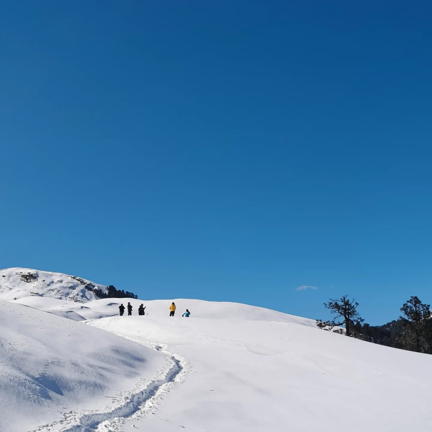 Dayara Bugyal Trek