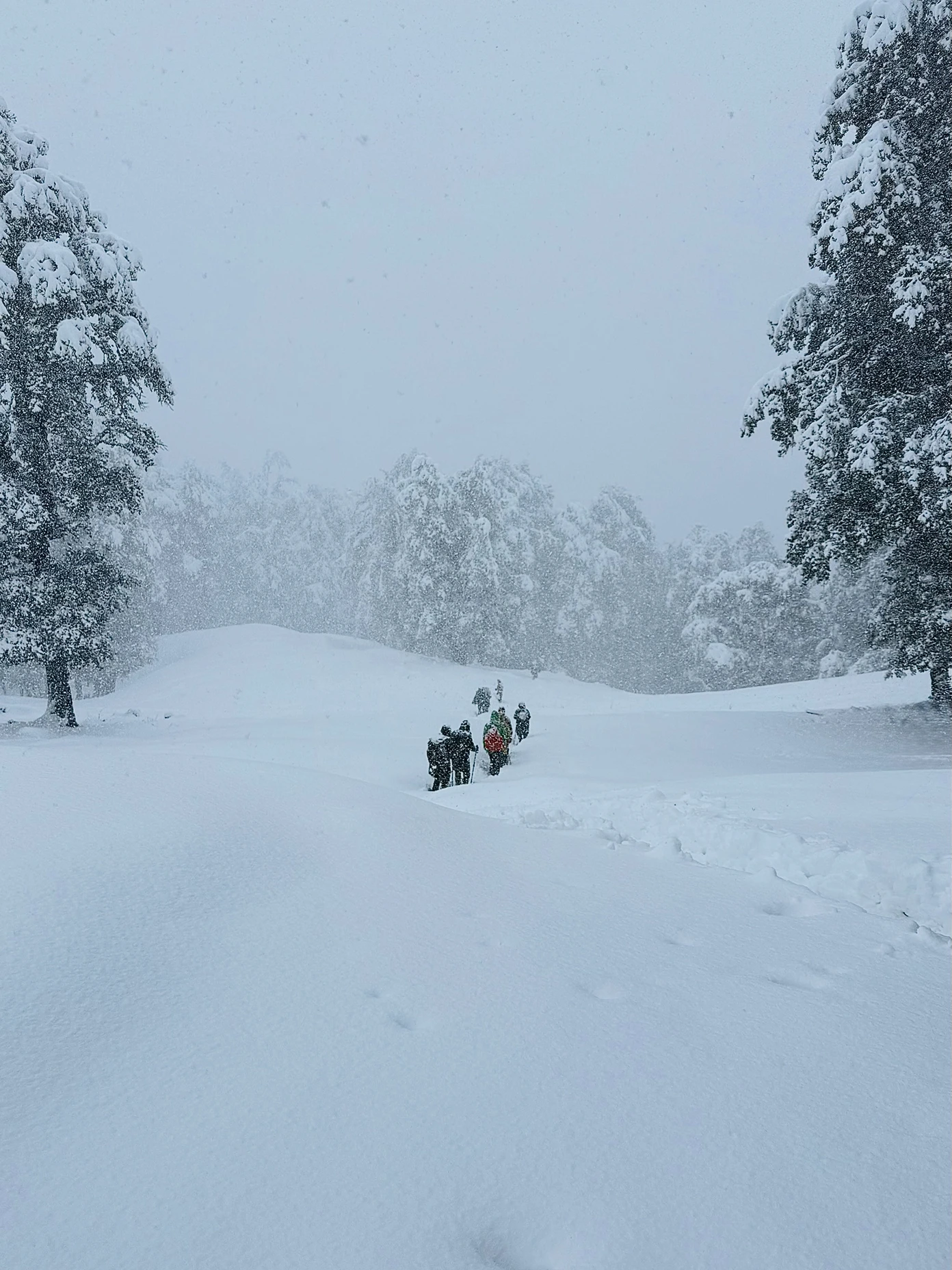 Kuari Pass trek