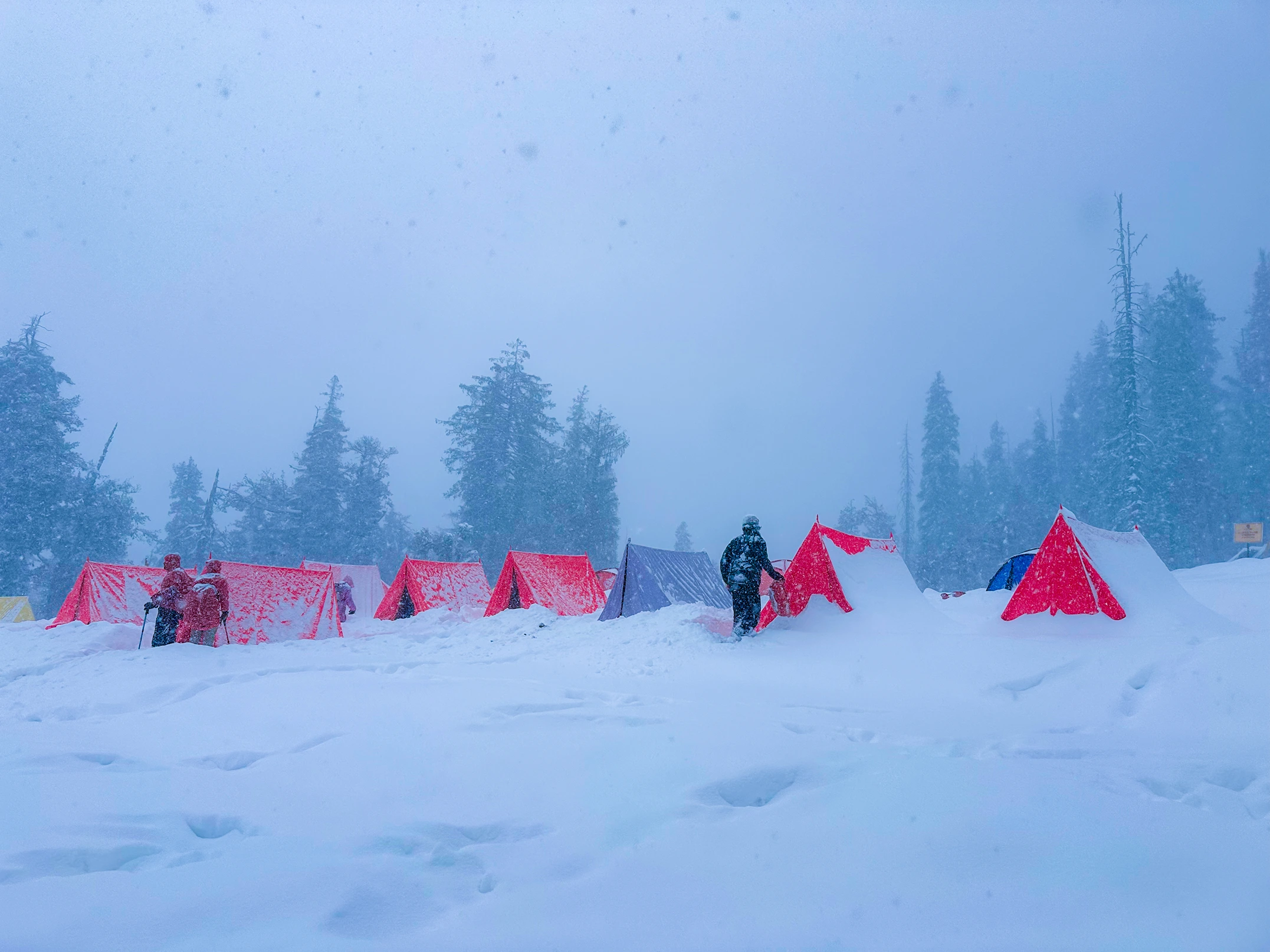 Kedarkantha Trek