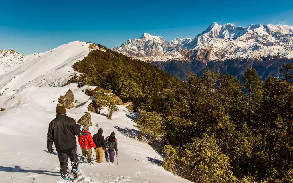 Brahmatal Trek