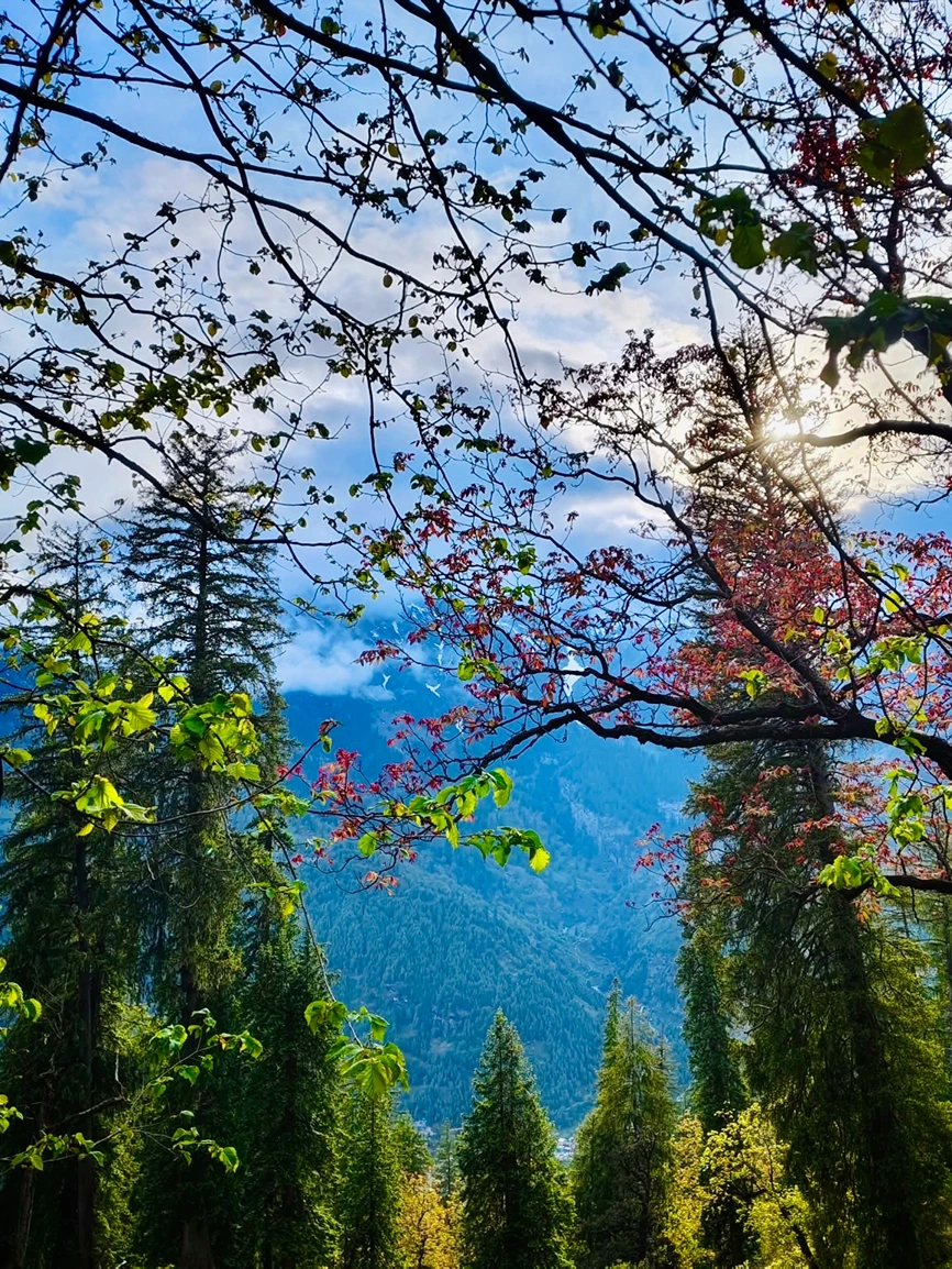 Bhrigu Lake Trek