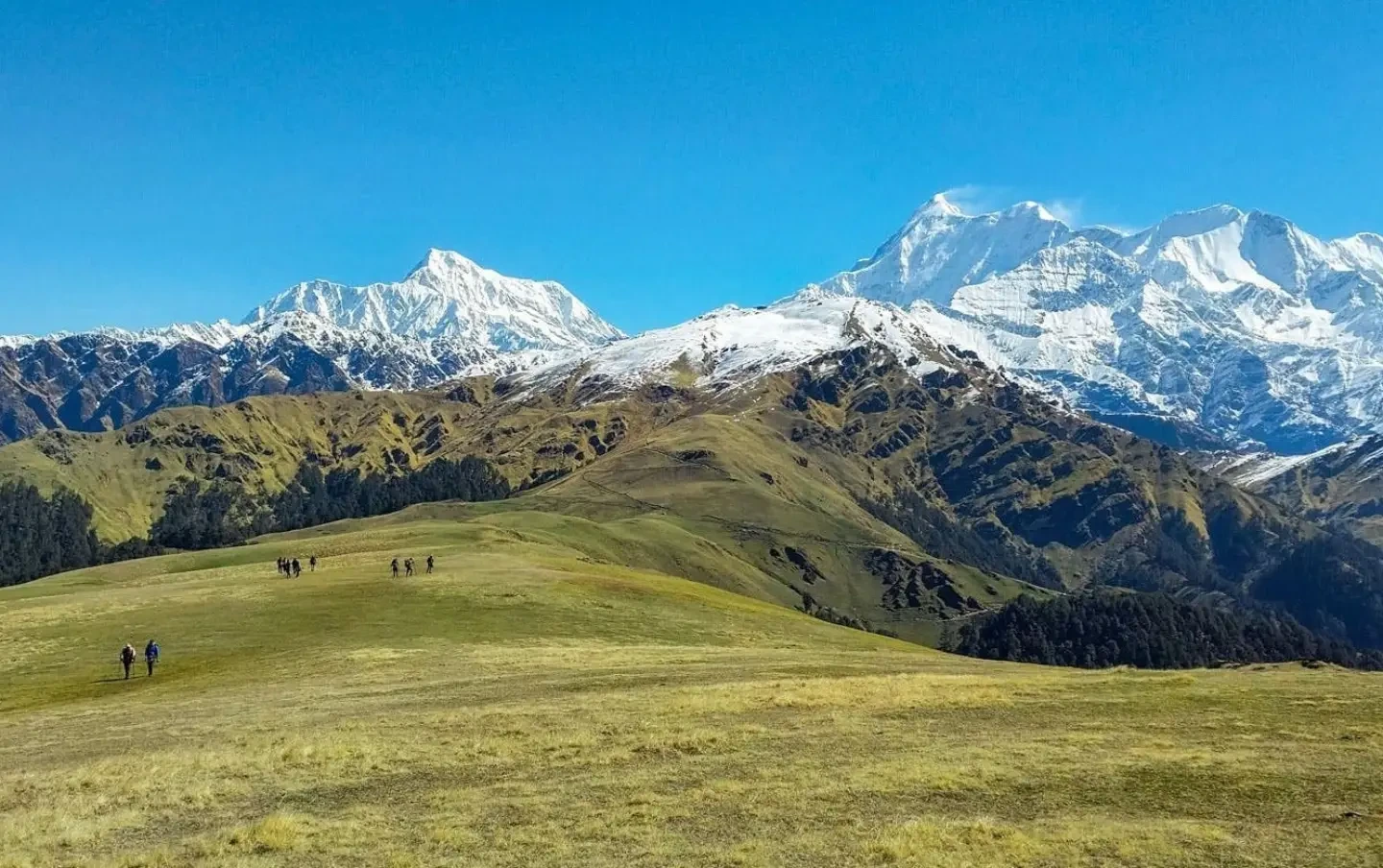 Ali Bedni Bugyal Trek
