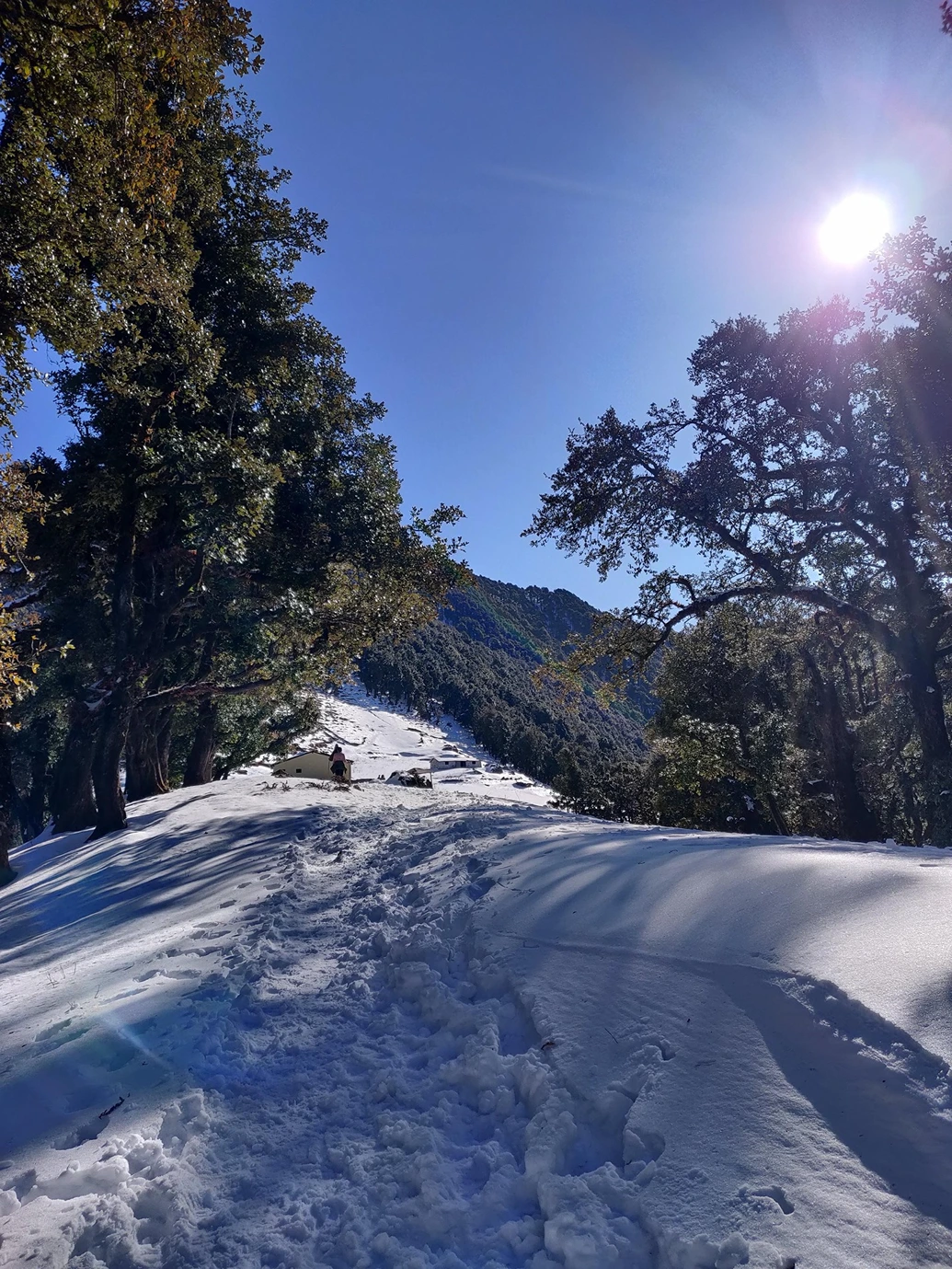 Nag Tibba Trek