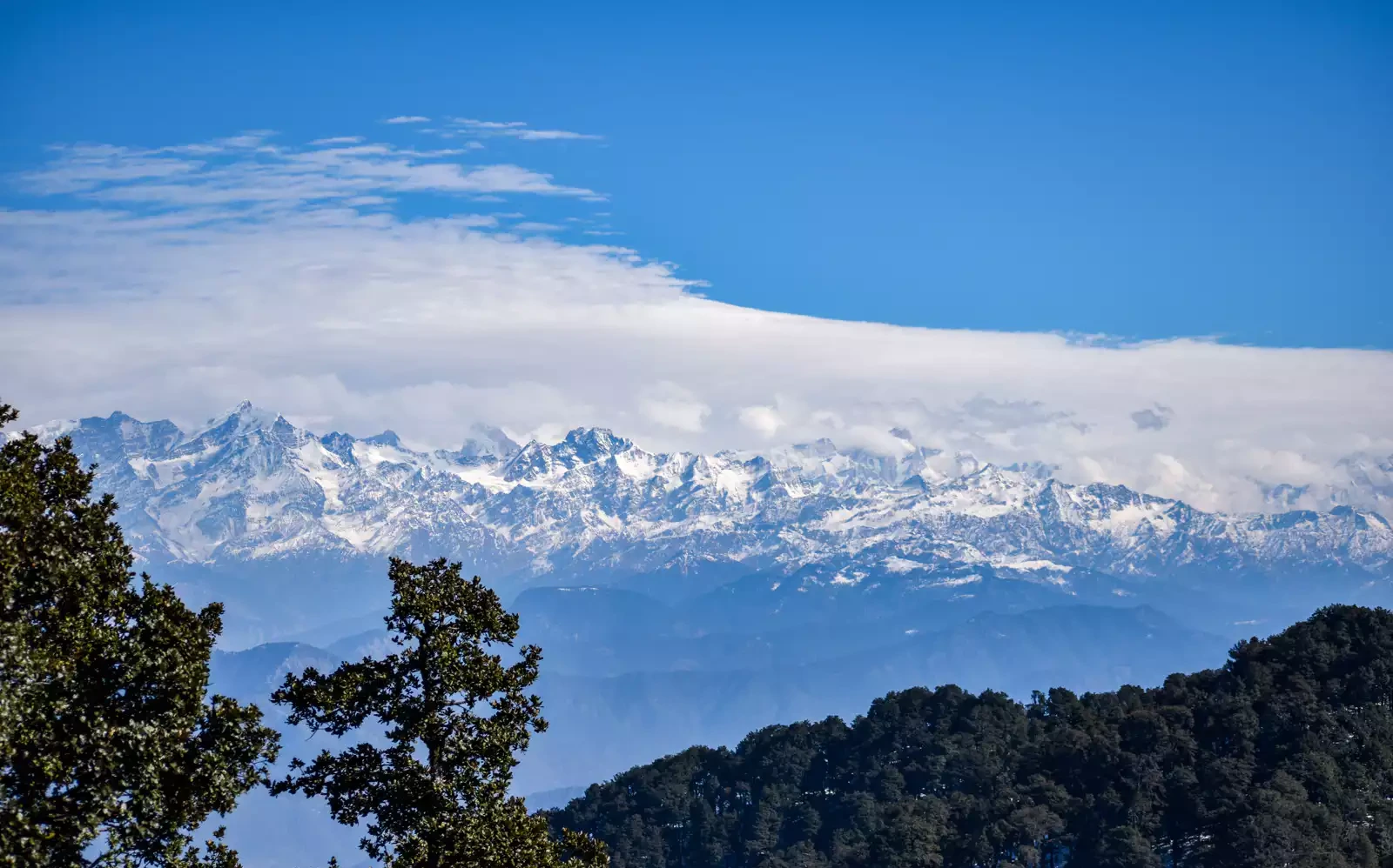 Nag Tibba Trek