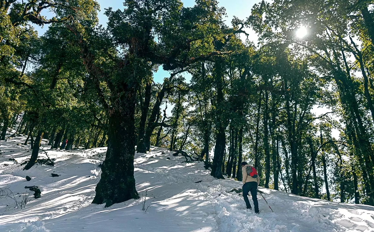 Nag Tibba Trek