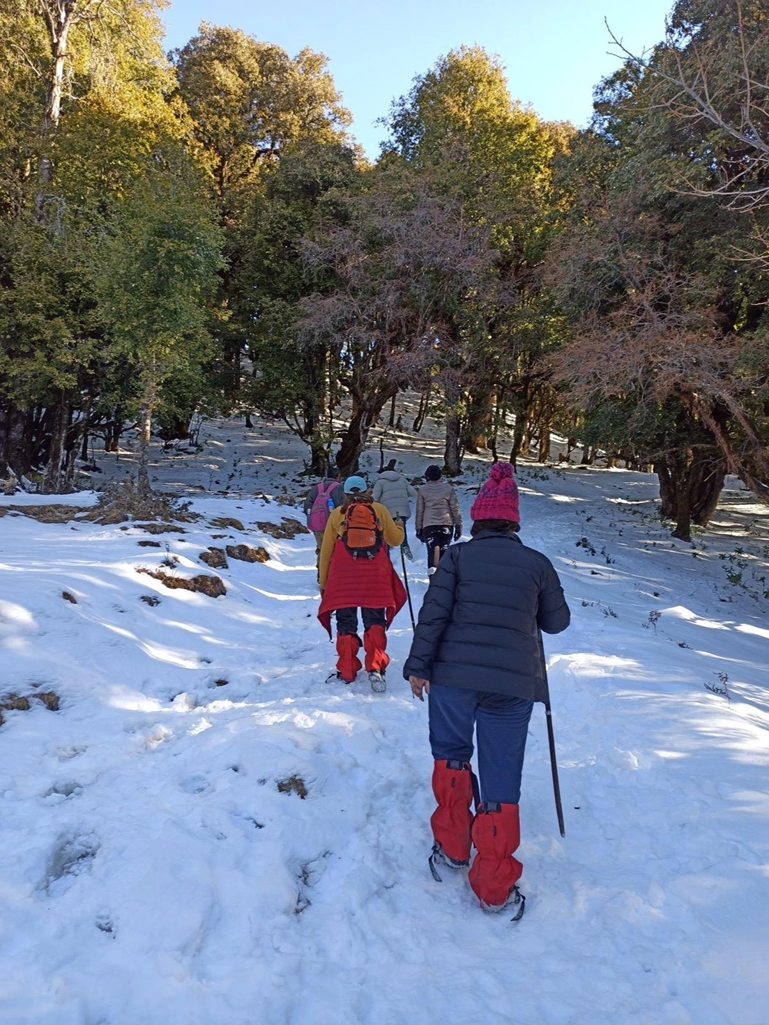 Nag Tibba Trek