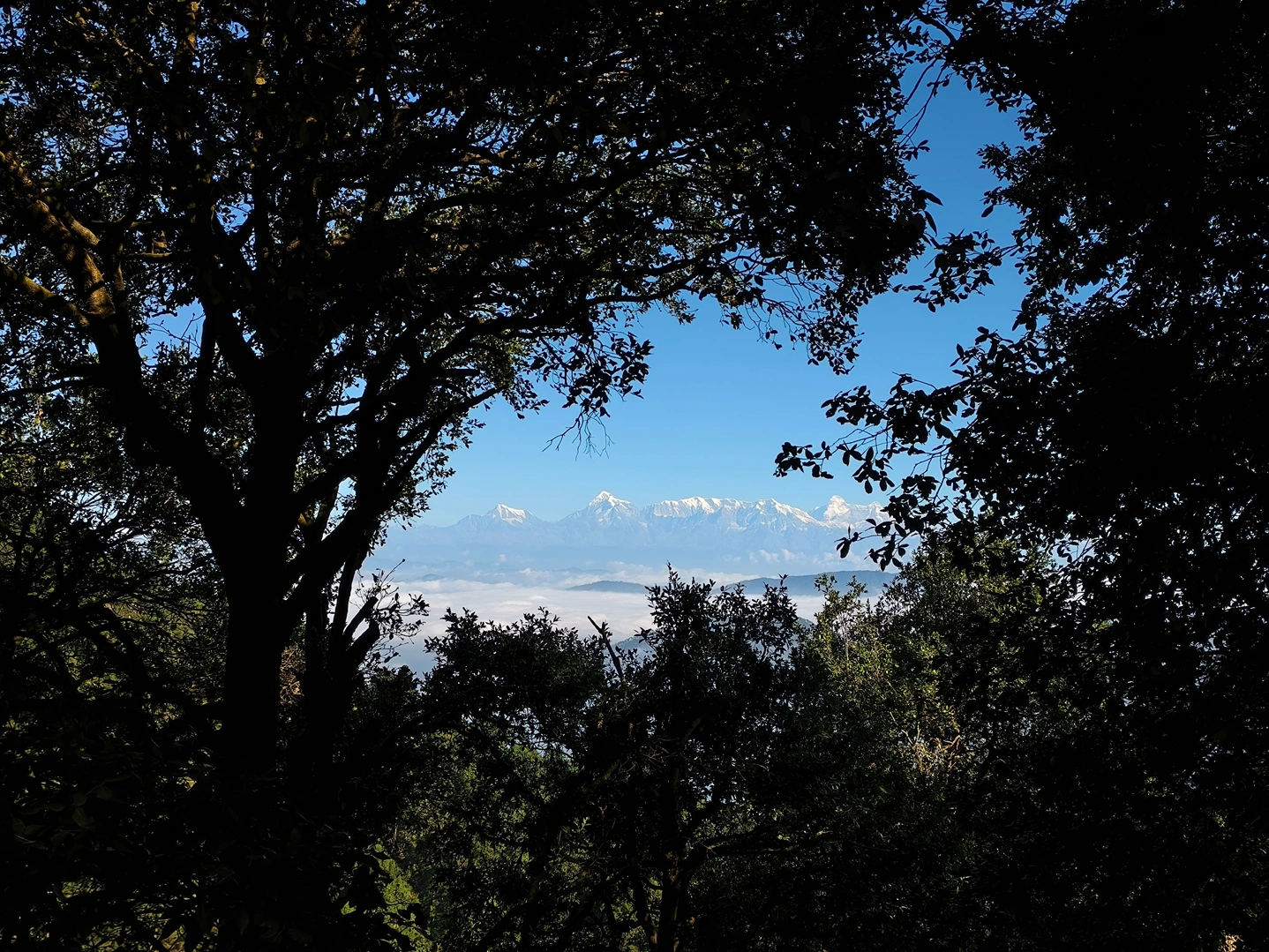 Nag Tibba Trek