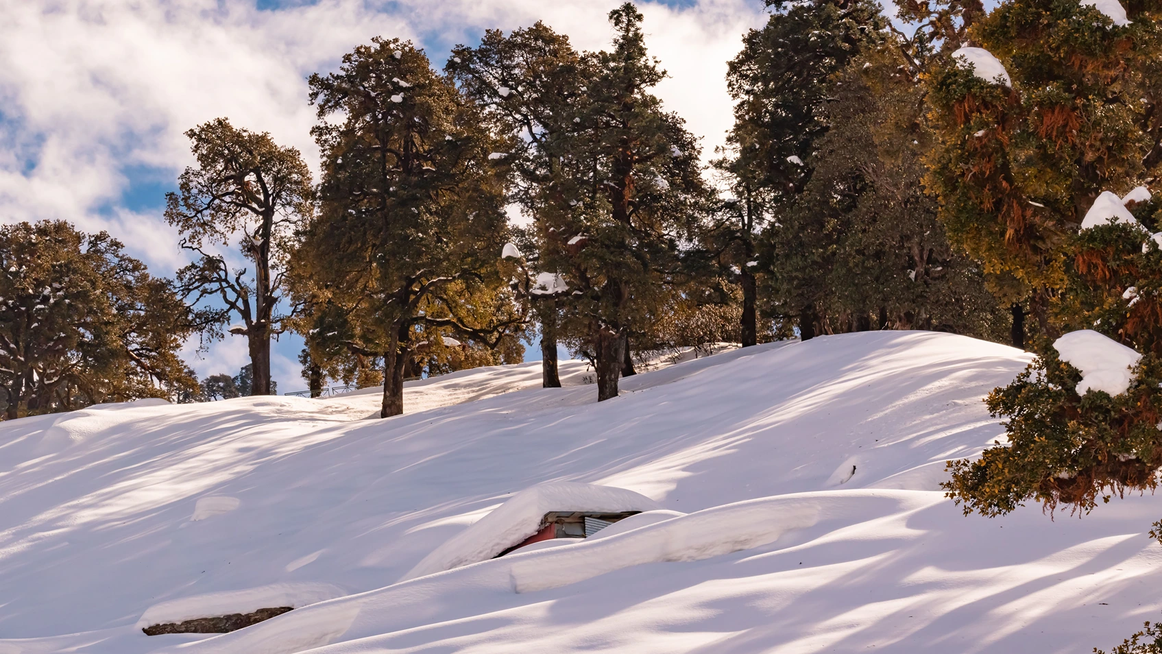 Nag Tibba Trek