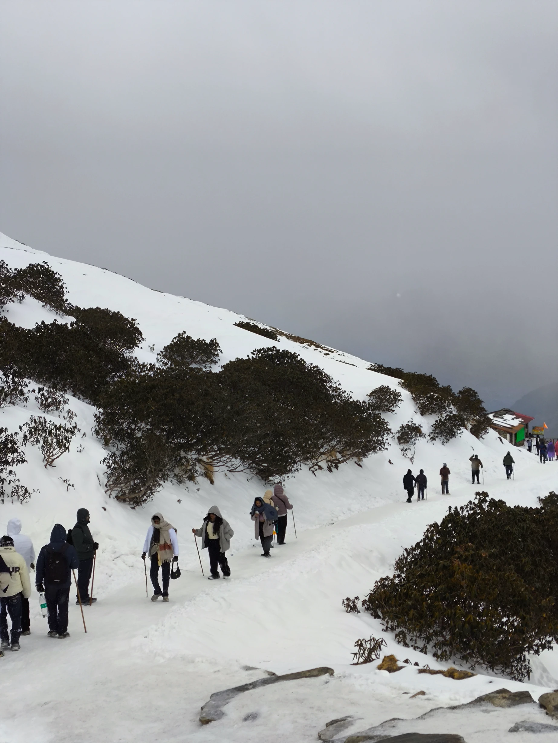 Chopta Chandrashila Tungnath Trek