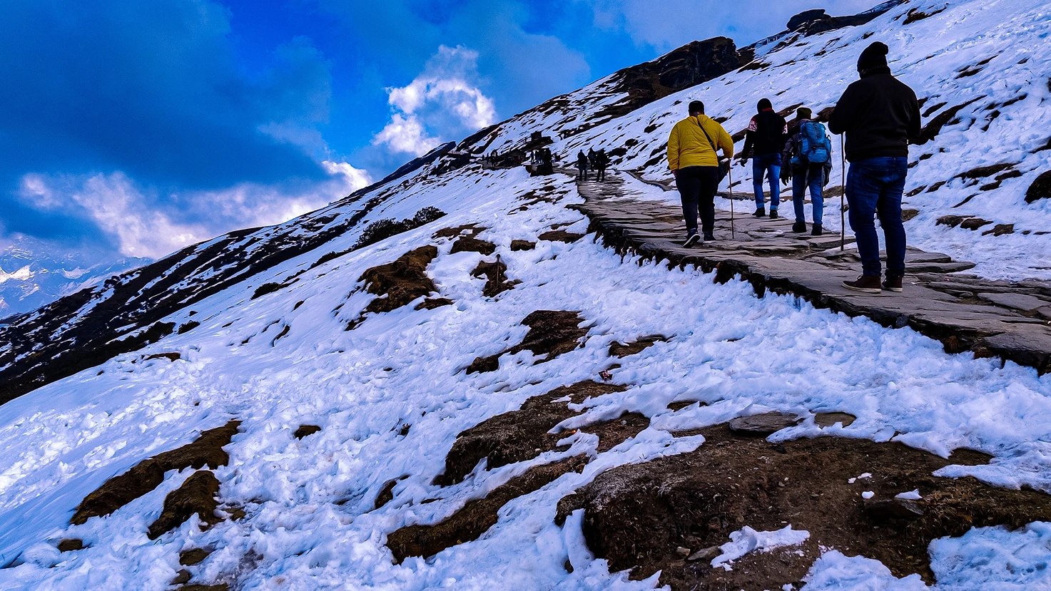 Chopta Chandrashila Tungnath Trek