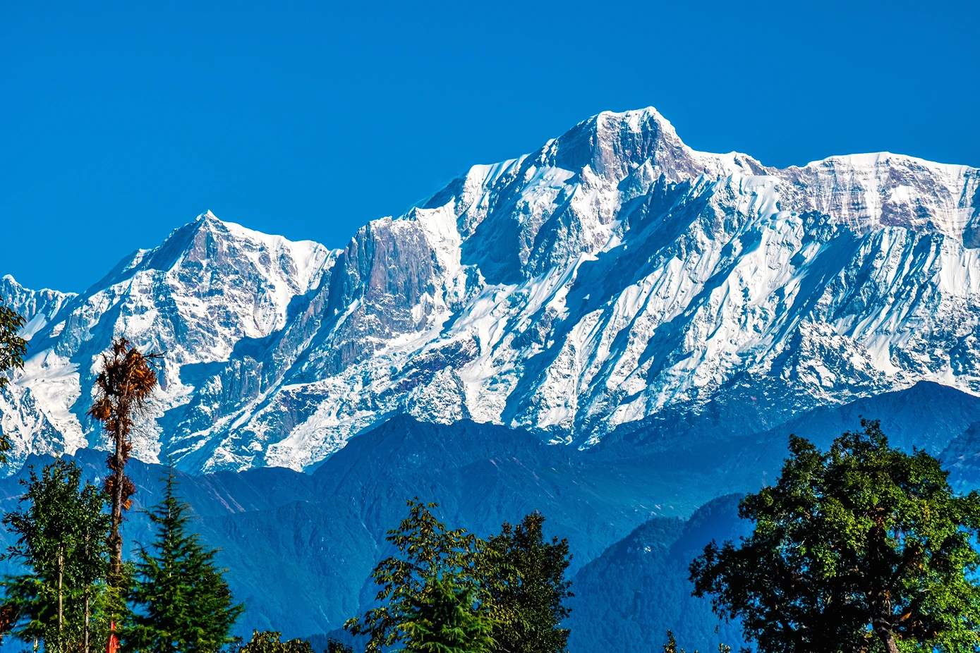 Chopta Chandrashila Tungnath Trek