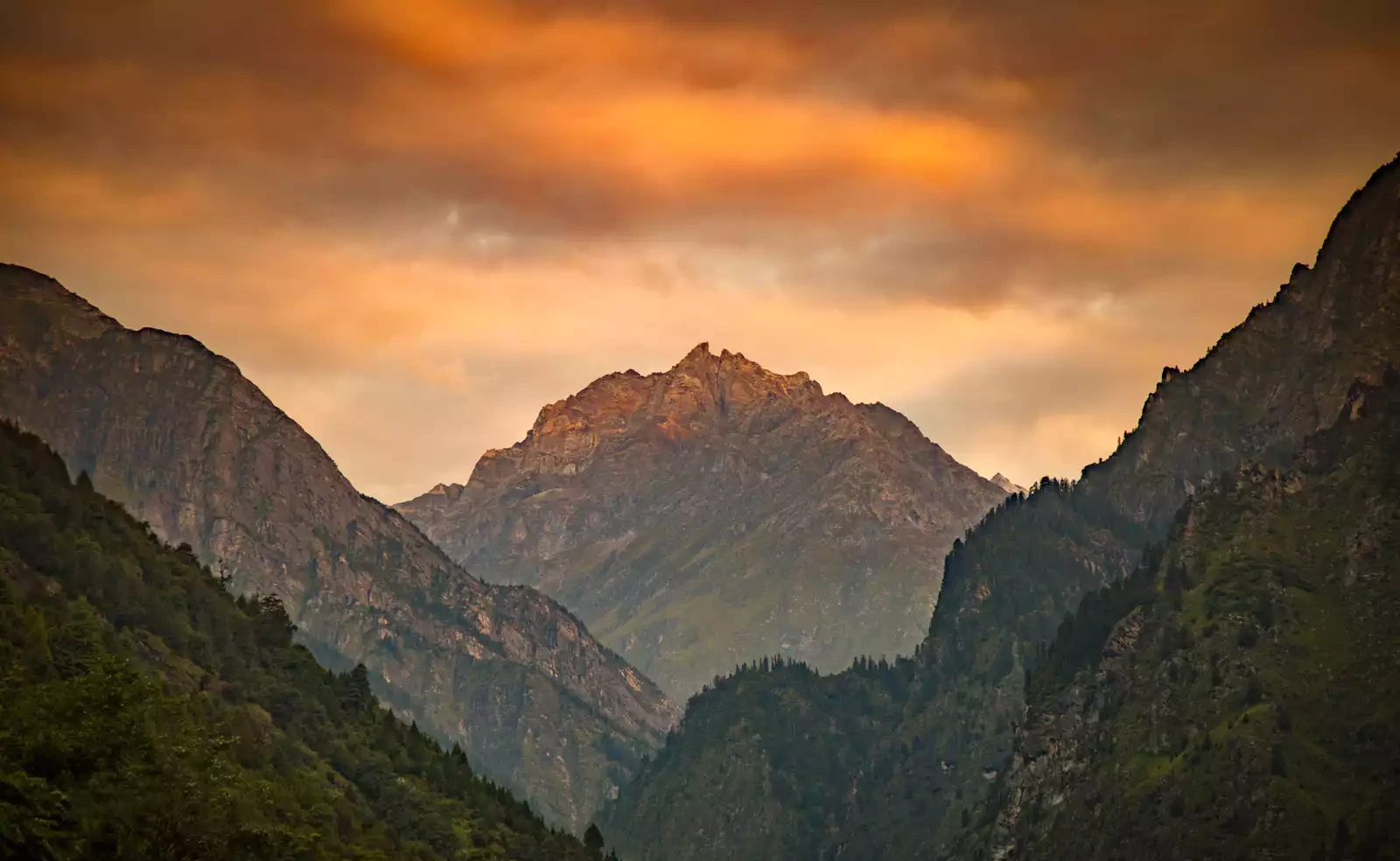 Valley of Flowers Trek