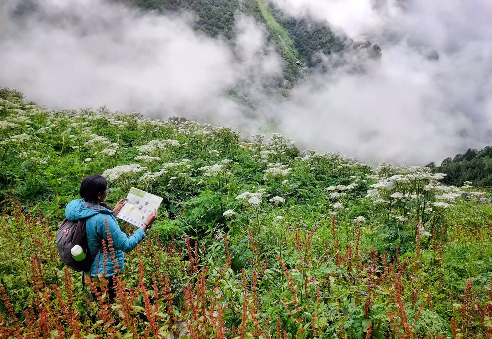 Valley of Flowers Trek