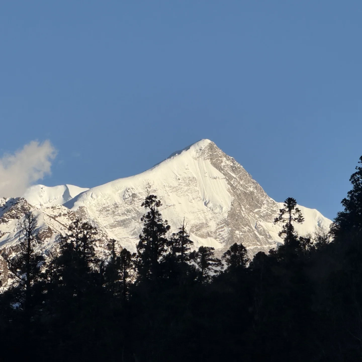 Pangarchulla Peak trek