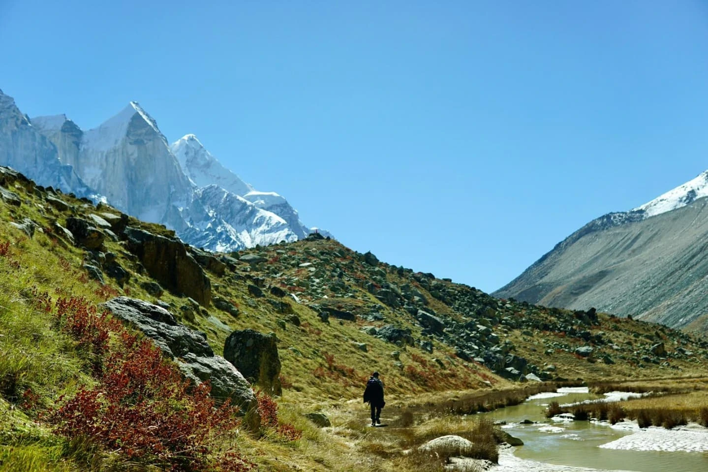 Gaumukh Tapovan Trek