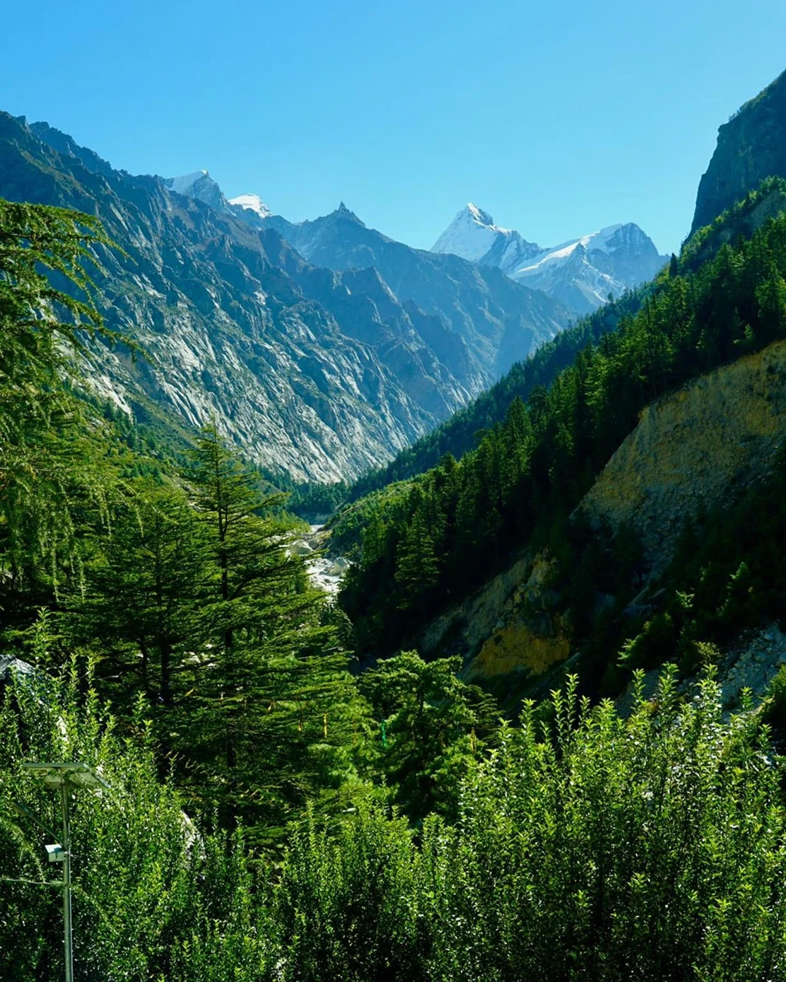 Gaumukh Tapovan Trek