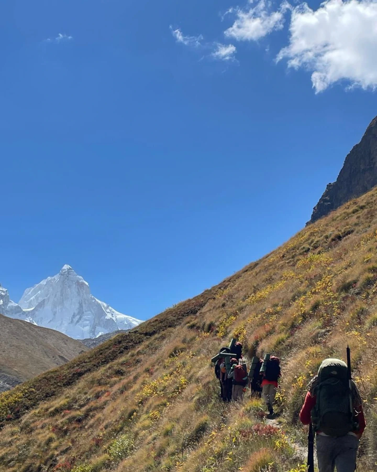 Gaumukh Tapovan Trek