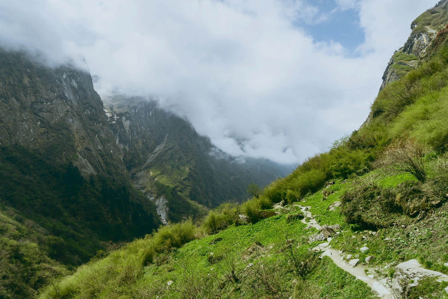 Nafran Valley Trek