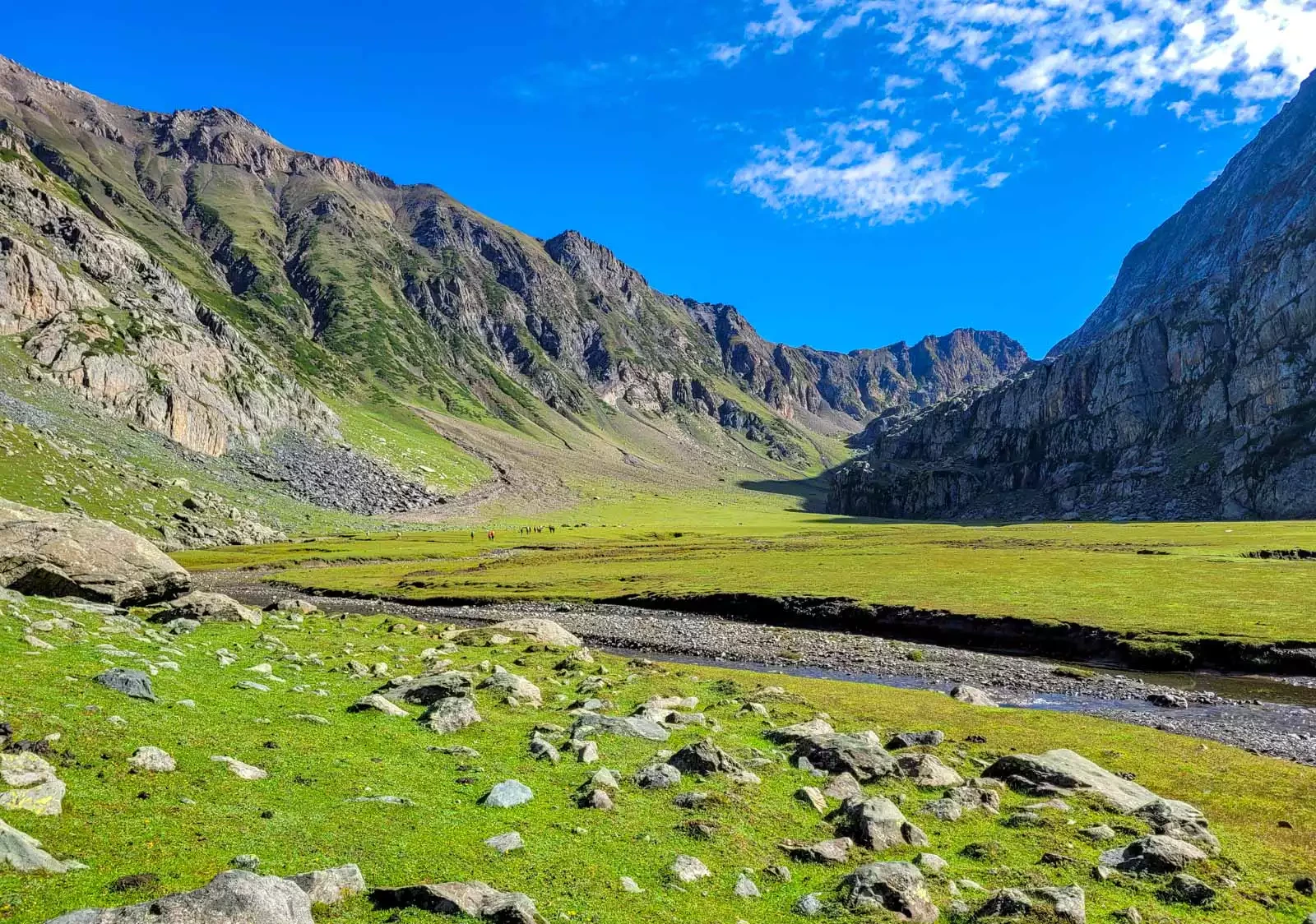 Nafran Valley Trek