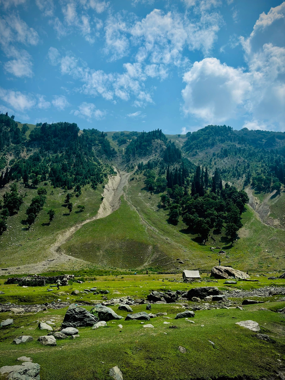 Nafran Valley Trek