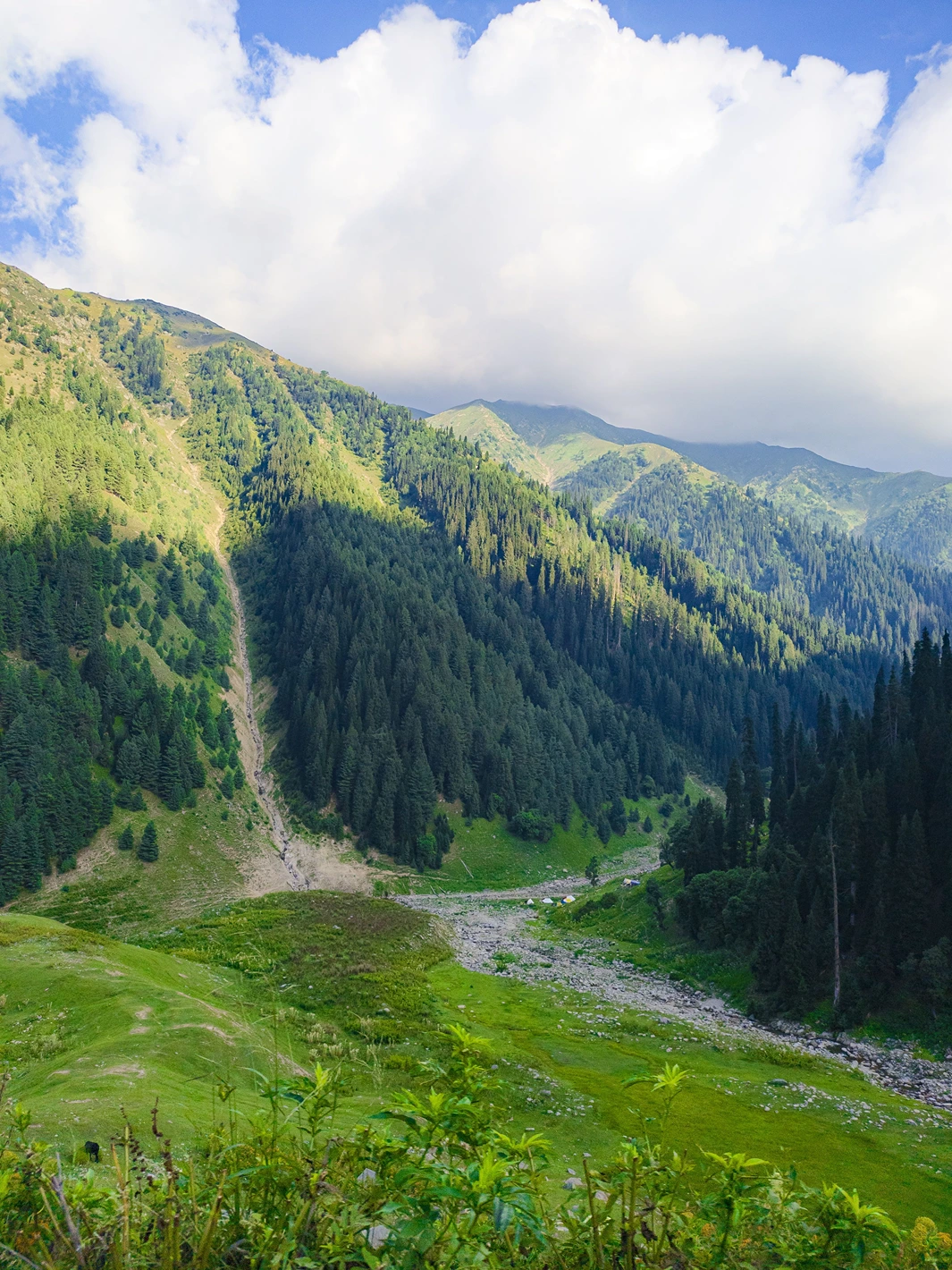 Nafran Valley Trek
