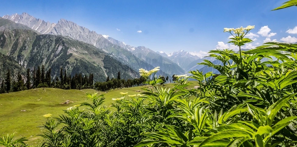 Kashmir Great Lakes Trek
