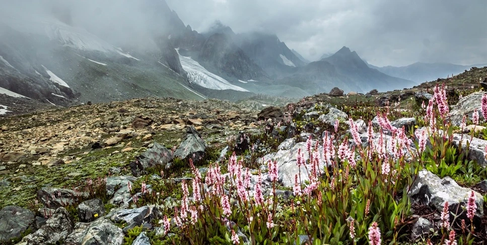 Kashmir Great Lakes Trek