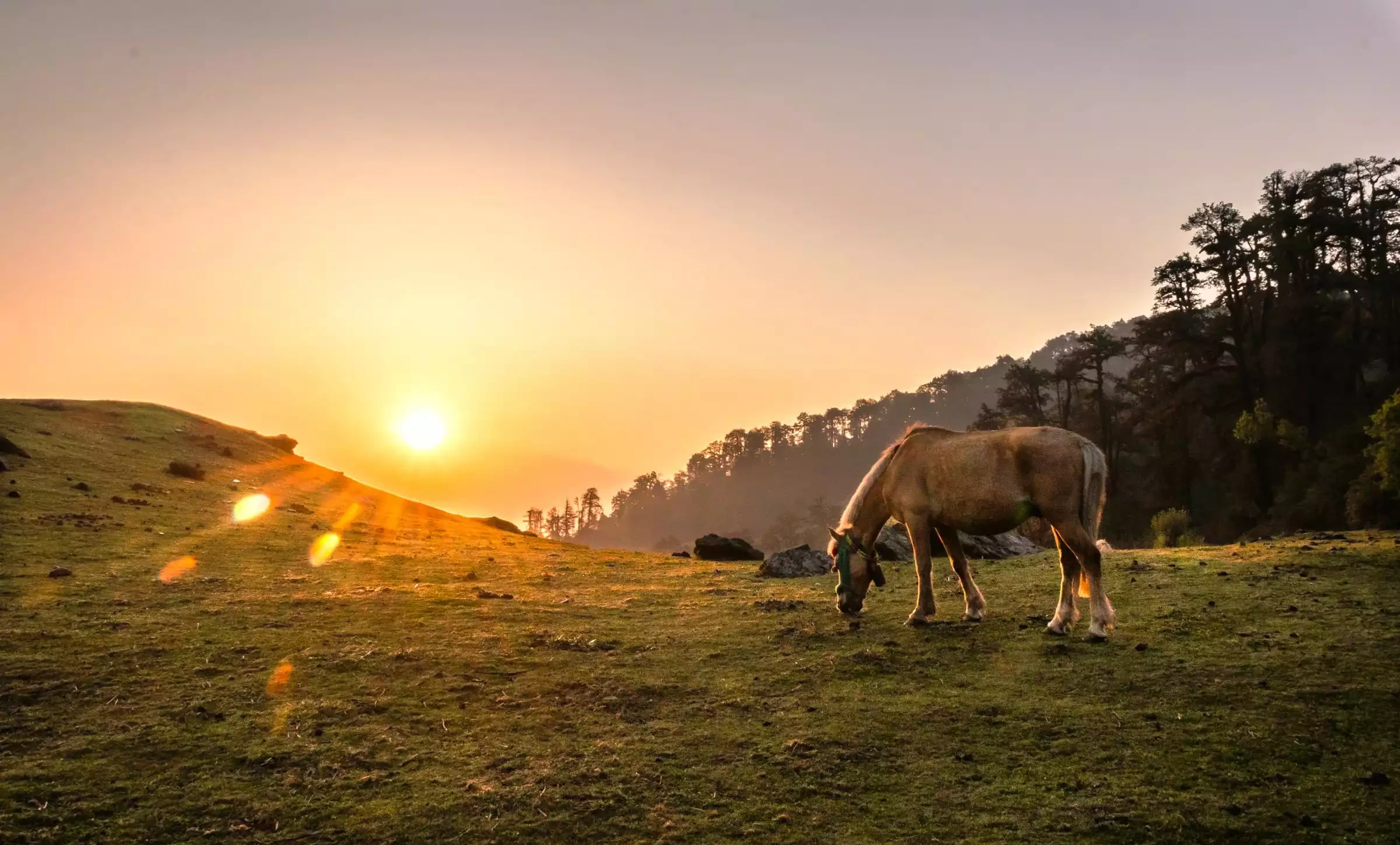 Dayara Bugyal Trek