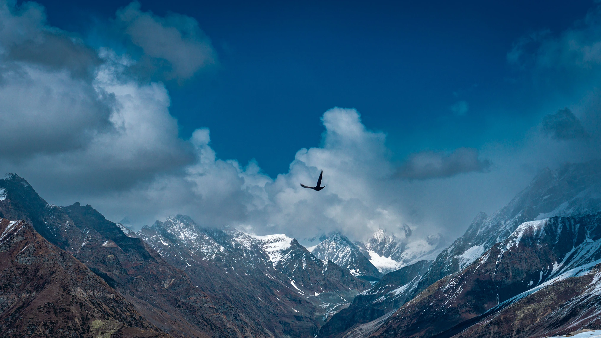 Kuari Pass trek