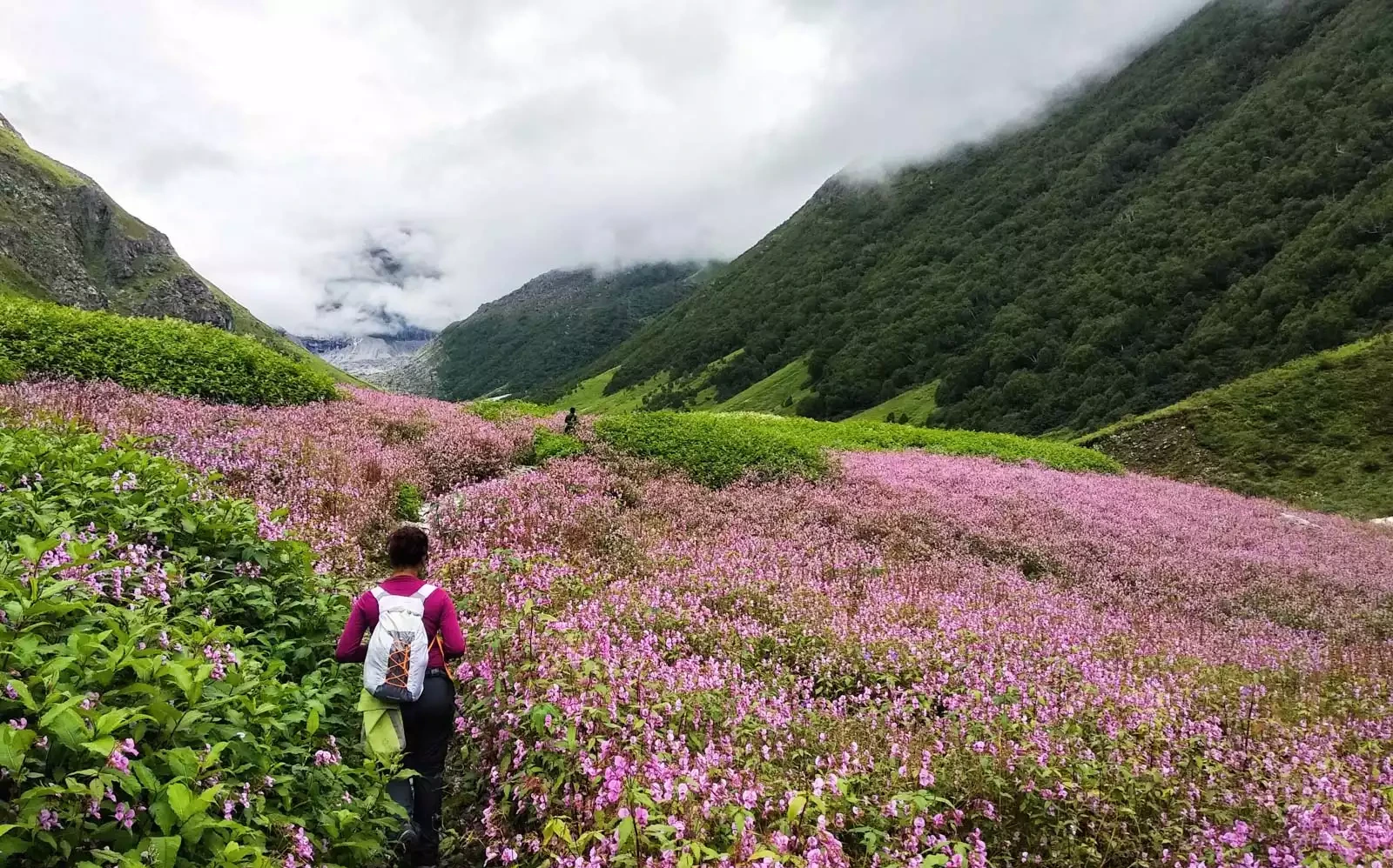 Valley of Flowers Trek
